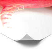 wortelgroenten poster (Hoek)