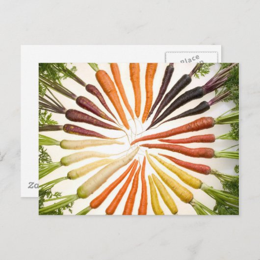 Wortelkleurwiel Briefkaart (Voorkant / Achterkant)