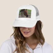 Wortelliefhebbers, Trucker Pet (In situ)