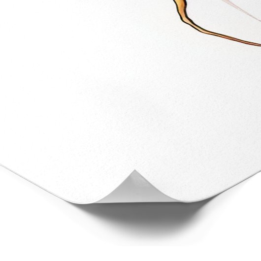 WORTELS Afdrukbaar Poster (Hoek)