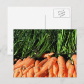 Wortels Briefkaart (Voorkant / Achterkant)