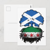 Wortels & Kroon: Schotland–Syrië Boom Briefkaart (Voorkant / Achterkant)