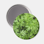 WortelTopjes Magnet (Voorkant / Achterkant)