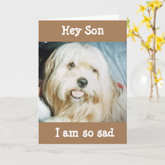 WOU DAT DIT PERSOONLIJK ZOON "GELUKKIGE VERJAARDAG KAART (Gele Bloem)