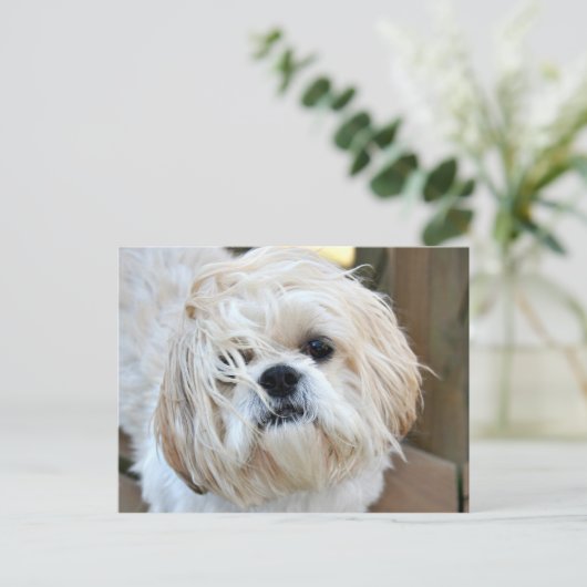 wou dat je hier was briefkaart (Staand voorkant)