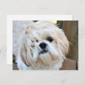 wou dat je hier was briefkaart (Voorkant / Achterkant)