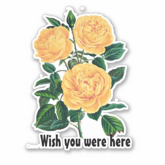 Wou dat je hier was, Yellow Roses design Sticker (Voorkant)
