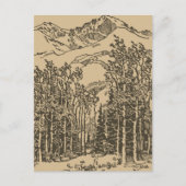  woud briefkaart (Voorkant)