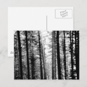Woud in zwart-wit briefkaart (Voorkant / Achterkant)