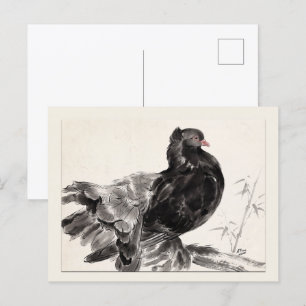 Wouw een Indische Fantailduif Briefkaart