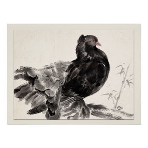 Wouw een Indische Fantailduif Perfect Poster