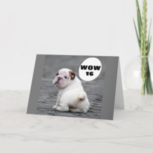 WOW—**16*** WEG OM TE GAAN! KAART