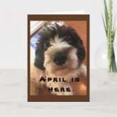 WOW/BOW ZOU HET JE **APRIL BIRTHDAY ZIJN!* KAART (Voorkant)