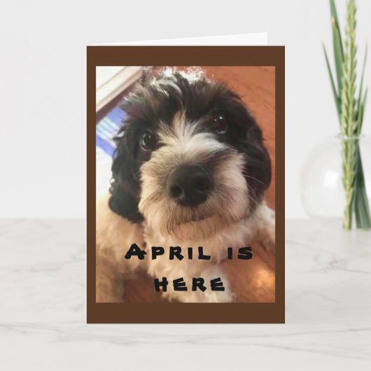 WOW/BOW ZOU HET JE **APRIL BIRTHDAY ZIJN!* KAART (Voorkant)