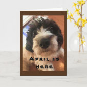 WOW/BOW ZOU HET JE **APRIL BIRTHDAY ZIJN!* KAART (Gele Bloem)