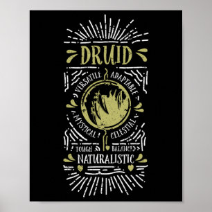 Wow Druïde Role Playing Gamer 1  Poster