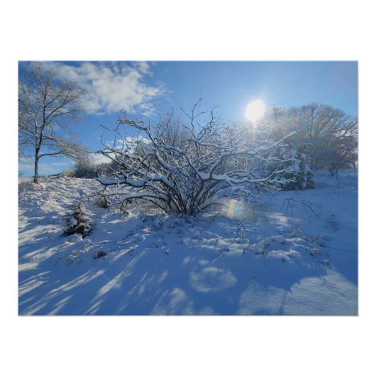 Wow is de Winter van Kunstenaarinhoud Perfect Poster (Voorkant)
