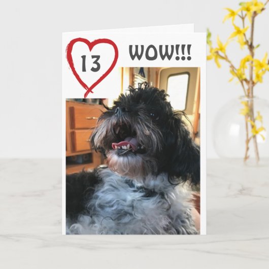 **WOW** JE WORDT **13** JAAR KAART (Gele Bloem)