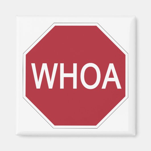 Wow Magneet (Voorkant)