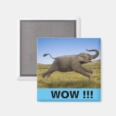 WOW-magneet Magneet (Voorkant / Achterkant)