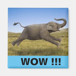 WOW-magneet Magneet