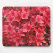 Wow! Muismat (Voorkant)