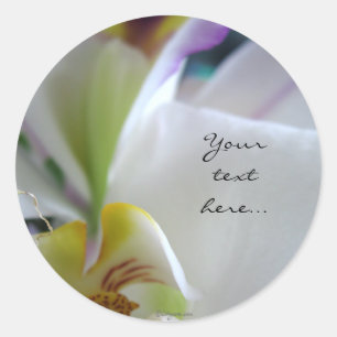 Wow Phalaenopsis Orchidee bruiloft uitnodiging zeg Ronde Sticker