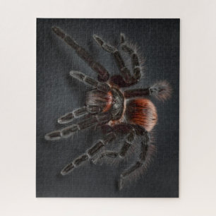 WOW! Super Cool Tarantula Spider Legpuzzel