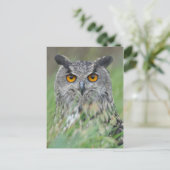 Wowl Briefkaart (Staand voorkant)