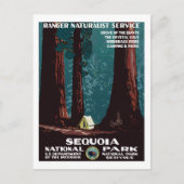 WPA-campagne in het nationale park Sequoia Briefkaart (Voorkant)