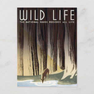  WPA-natuurparken Briefkaart