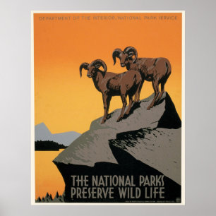 WPA-Poster voor nationale parken Poster
