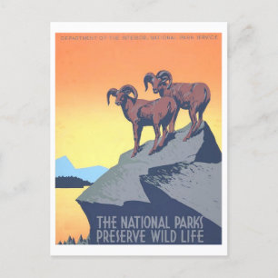 WPA-Poster: Wild Life Briefkaart