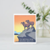 WPA-Poster: Wild Life Briefkaart (Staand voorkant)