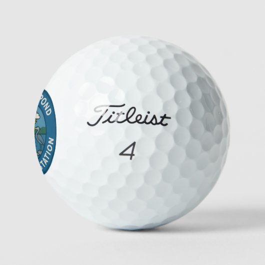 WPWS Titleist Pro V1 Golfballen (Logo)