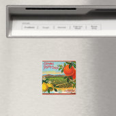 WQ MAGNEET: Oranje bloesemkratlabel Magneet (Insitu (Vaatwasser))