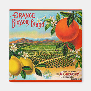 WQ MAGNET : Oranje Blossom-label