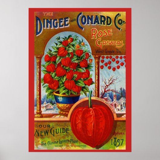 WQ-POSTER: Chinese lantaarn Poster (Voorkant)