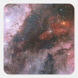 WR 22 en Eta Carinae regio's van de Carina Nebula Vierkante Sticker
