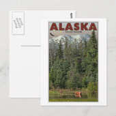 Wrangell-St Elias - De laatste grens Briefkaart (Voorkant / Achterkant)