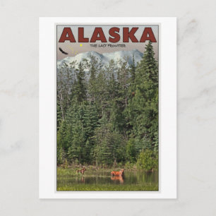 Wrangell-St Elias - De laatste grens Briefkaart
