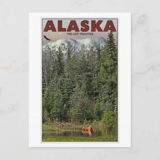 Wrangell-St Elias - De laatste grens Briefkaart (Voorkant)