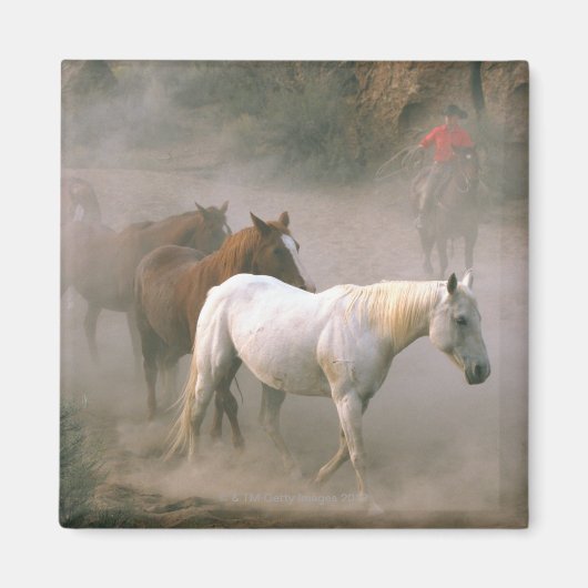 Wrangler met paarden magneet (Voorkant)