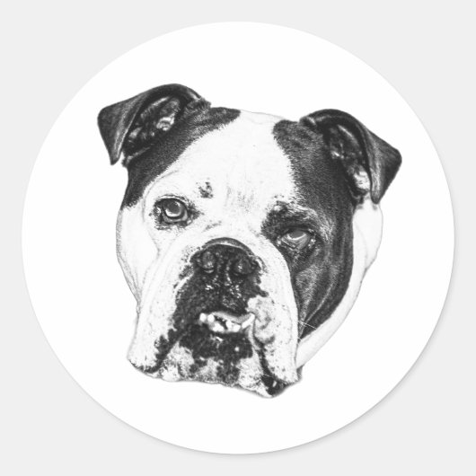 Wrap Seal Bulldog Ronde Sticker (Voorkant)