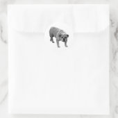 Wrap Seal Bulldog Ronde Sticker (Tas)