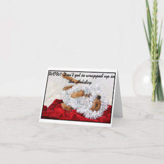 Wrapped in the Holiday note card. Feestdagen Kaart