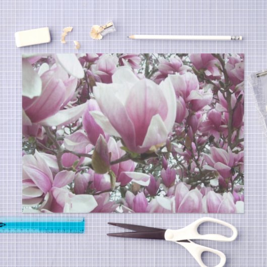 Wrappen - Saucer Magnolia Tissuepapier (Craft)