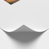 Wrapping paper cadeaupapier (Hoek)