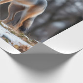 Wrapping paper  cadeaupapier (Hoek)