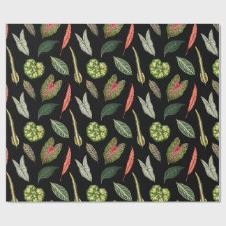 Wrapping Paper Cadeaupapier